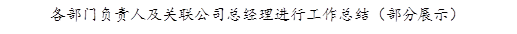 各部门负责人及关联公司总经理进行工作总结（部分展示）